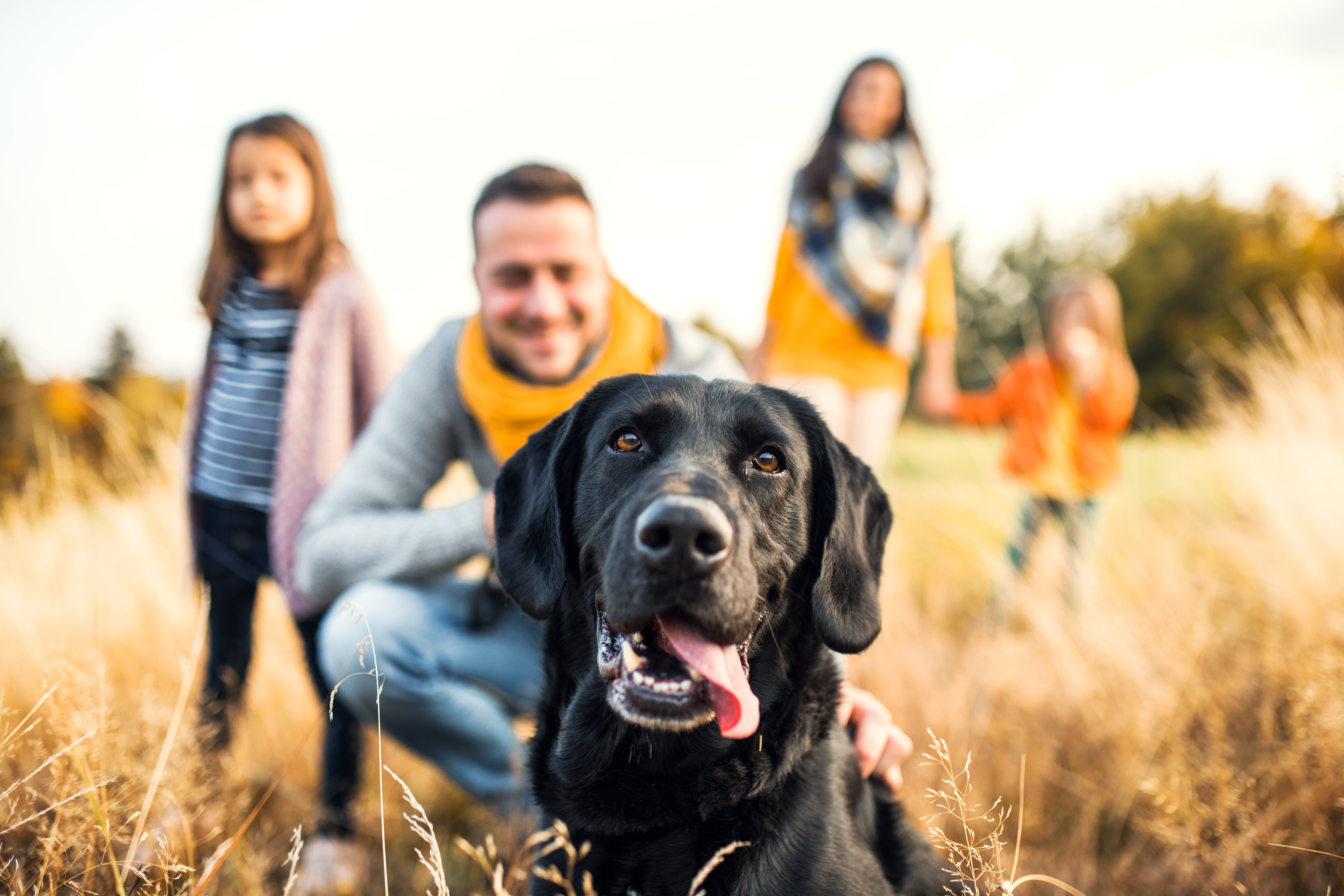 banner of The Best Pets for Young Families